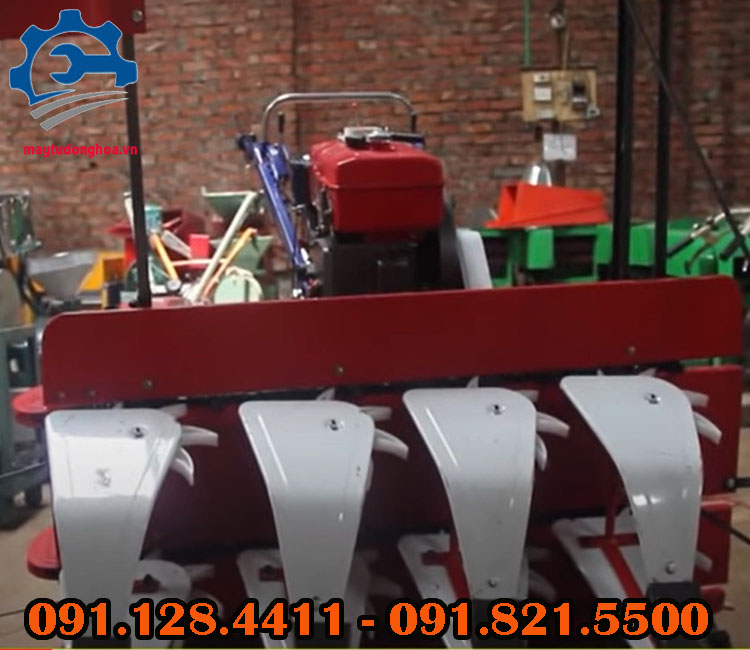 Máy cắt cỏ voi Máy cắt cỏ voi