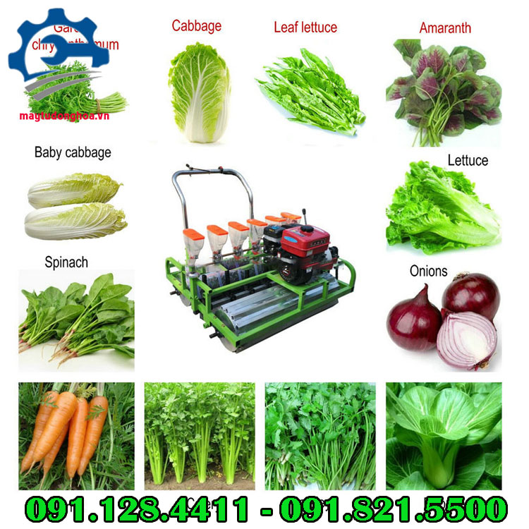 Máy nông nghiệp - máy gieo hạt rau đẩy tay
