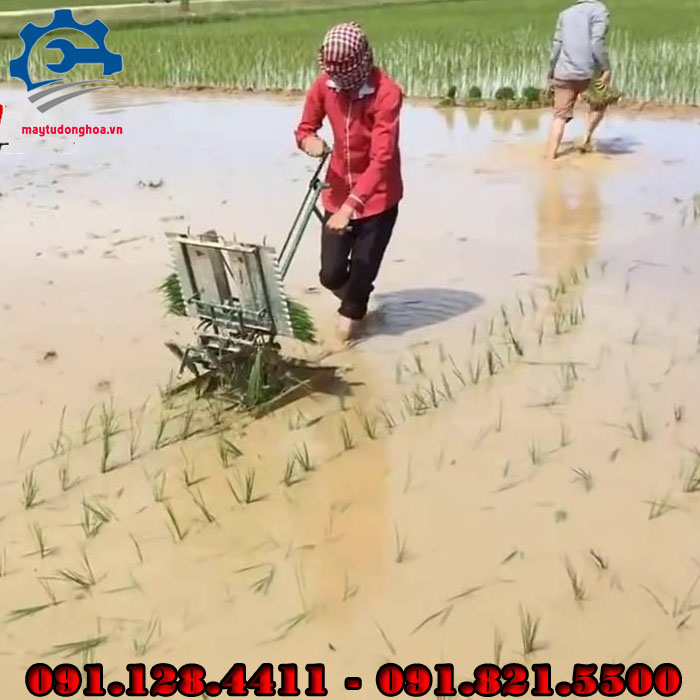 Máy cấy lúa không động cơ