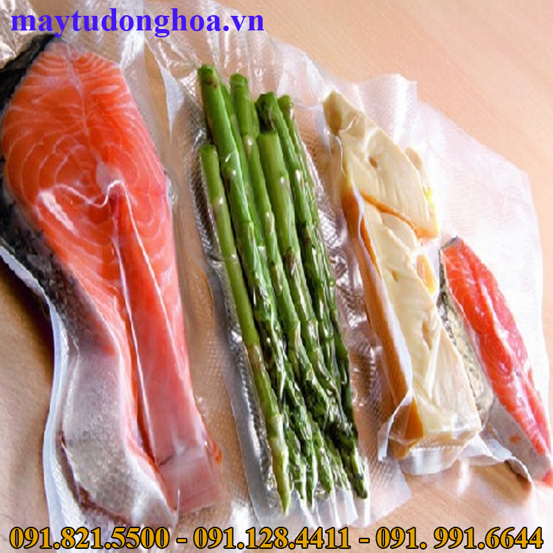 Máy hút chân không loại nhỏ, máy hút chân không công nghiệp TP HCM may hut chan khong