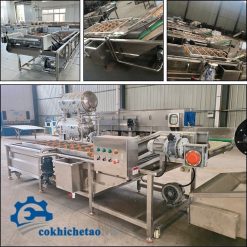 máy rửa rau củ quả công nghiệp