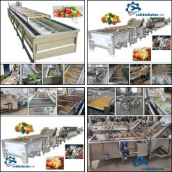 máy rửa rau củ quả công nghiệp