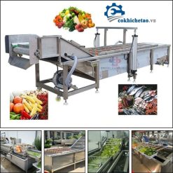 máy rửa rau củ quả công nghiệp