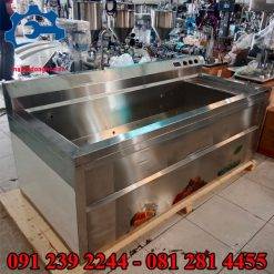 Máy rửa rau củ quả công nghiệp chính hãng