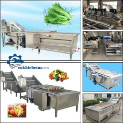 máy rửa rau củ quả công nghiệp
