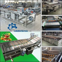 máy rửa rau công nghiệp