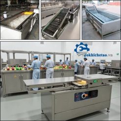 máy rửa rau công nghiệp