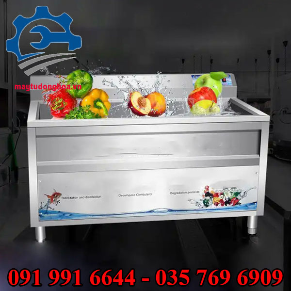Máy rửa rau sống inox 304