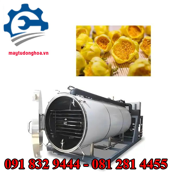 Máy sấy thăng hoa giá rẻ